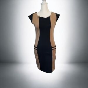 Elegant  ZARA Black and Tan Dress